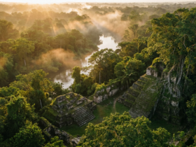lost city of z true story - The Lost City of Z: What Percy Fawcett Was Actually Looking For in the Amazon