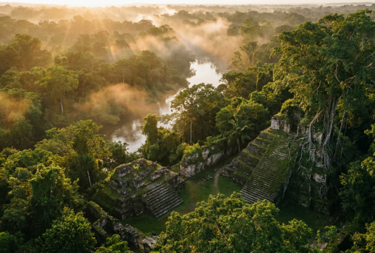 lost city of z true story - The Lost City of Z: What Percy Fawcett Was Actually Looking For in the Amazon